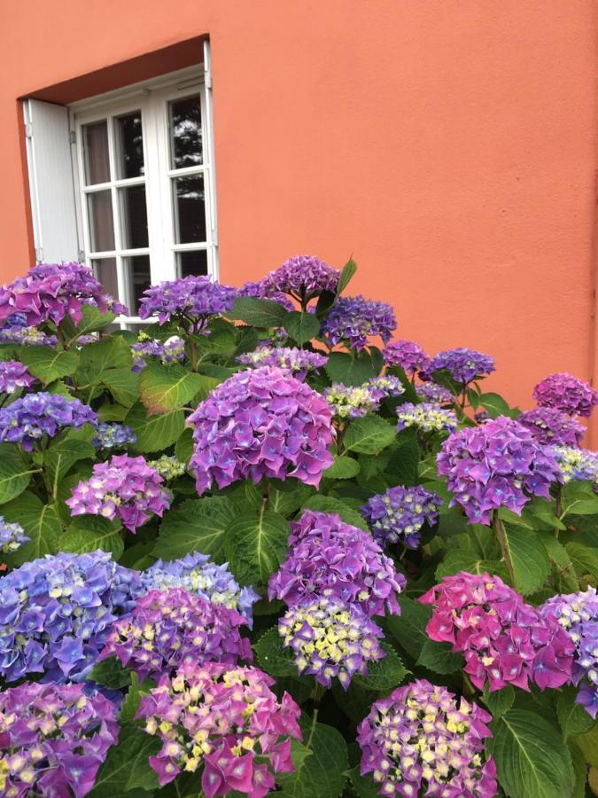 Hotel La Belle Etoile Thouaré-sur-Loire المظهر الخارجي الصورة